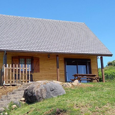 Chalet Sancy Saint-Genès-Champespe Εξωτερικό φωτογραφία