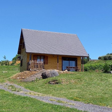 Chalet Sancy Saint-Genès-Champespe Εξωτερικό φωτογραφία